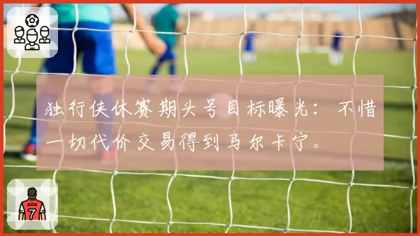 独行侠休赛期头号目标曝光：不惜一切代价交易得到马尔卡宁。