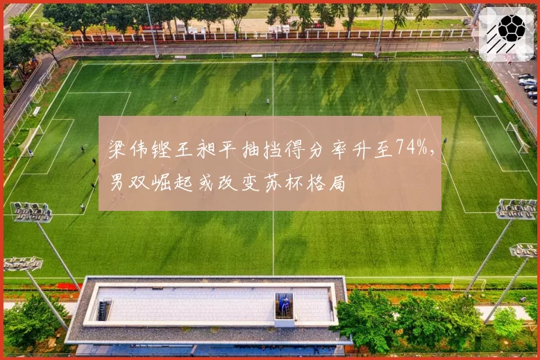 梁伟铿王昶平抽挡得分率升至74%，男双崛起或改变苏杯格局